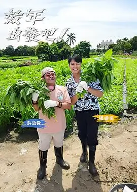 深夜食摊综艺免费在线观看